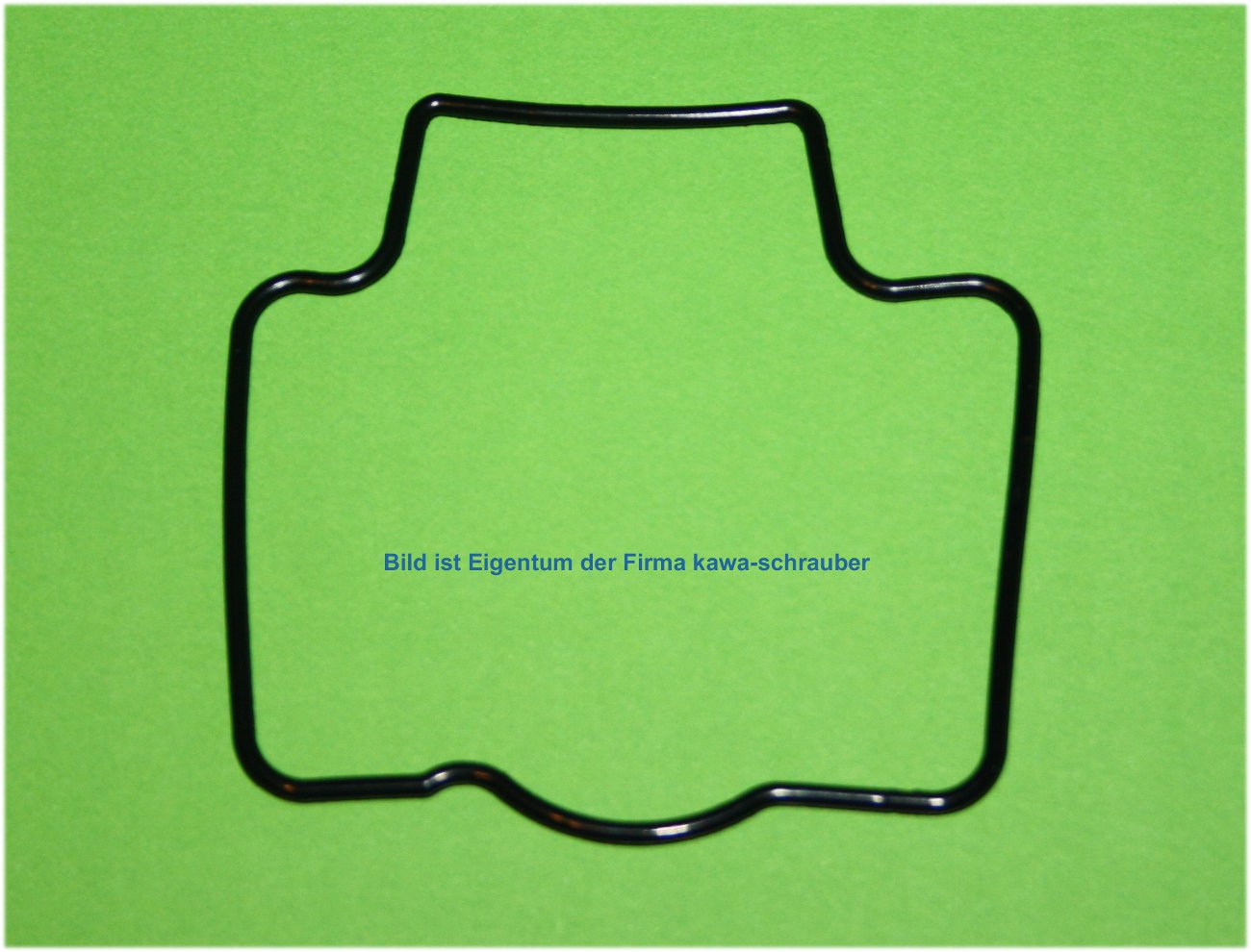 Dichtungen Schwimmerkammer