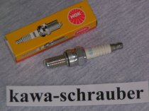 NGK Zündkerze Beta EVO 300 4-Takt