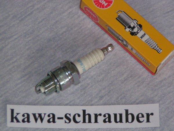 NGK Zündkerze BSM Winner 50