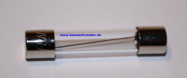 Glassicherung Sicherung 6x32 8A 8 Ampere