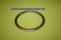 Auspuffdichtung Krümmerdichtung Dichtung Krümmer / Auspuff 51,2 x 42,9 x 2,5