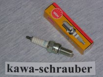 NGK Zündkerze für GasGas EC 450 FSE nur italienische Modelle !!