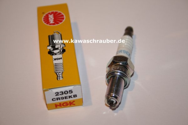 NGK Zündkerze Husqvarna TE 449 ab Baujahr 2011