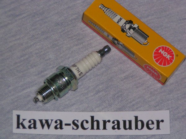 NGK Zündkerze IZH 7.107 (16,2kW)