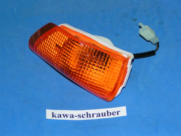 Blinker Kawasaki ZZR600 ZX600D vorne links