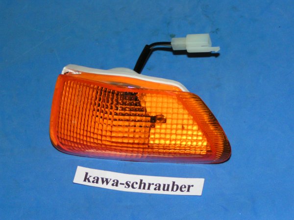 Blinker Kawasaki ZZR600 ZX600D vorne rechts