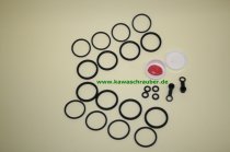Kawasaki ZX-9R ZX9R Ninja Bj. ab 1994 RepSatz Bremse / Bremssattel Reparatursatz Bremszange vorne