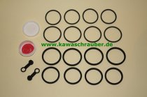 Yamaha FZR600 Genesis RepSatz Bremse / Bremssattel Reparatursatz Bremszange vorne