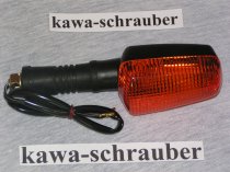 Blinker Yamaha FZR600 FZR1000 FZ750 SRX600 RD350