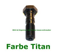 MCH951 Doppelhohlschraube / Hohlschraube von TRW M10x1,25 Farbe wählbar