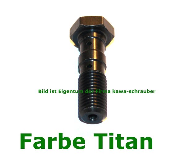 MCH951 Doppelhohlschraube / Hohlschraube von TRW M10x1,25 Farbe wählbar