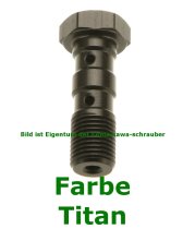 MCH961 Doppelhohlschraube / Hohlschraube von TRW M10x1,0 für Brembo Farbe wählbar