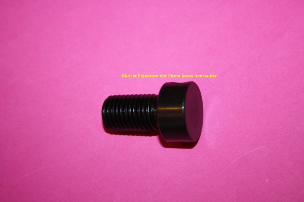 Whale Nietbolzen Gegenstück / Gewindeeinsatz zum Vernieten für Vollnieten Kettenteilung 520 bis 532