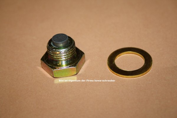 Öl Ablaßschraube Ablassschraube magnetisch mit Dichtring M16x1,5 für Aprilia BMW