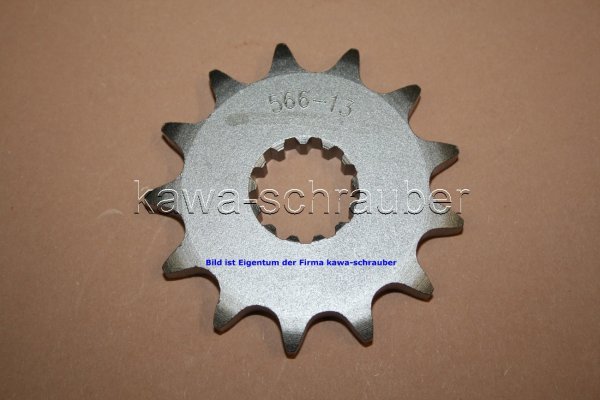 21,6x25 Ritzel vorne 530 13 Zähne