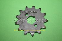 15x17 Ritzel vorne 420 13 Zähne