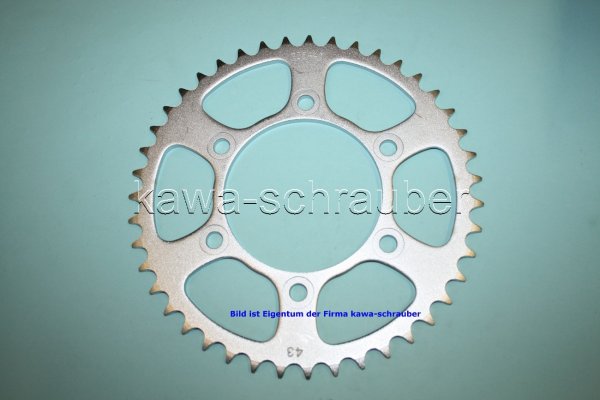 Kettenblatt / Ritzel hinten 124mm Lochkreis 6-Loch Nabe 100mm 520 43 Zähne