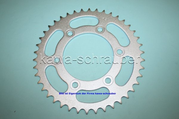 Kettenblatt / Ritzel hinten 124mm Lochkreis 6-Loch Nabe 100mm 520 42 Zähne