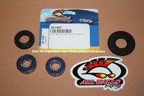 25-1421 All Balls Radlager Satz Radlagersatz