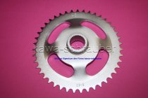 Kettenblatt / Ritzel hinten 43 Zähne Aprilia RS50 Extrema 6V Bj. 1995-1998 (geänderte Übersetzung)