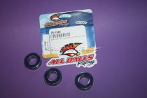 25-1348 All Balls Radlager Satz Radlagersatz