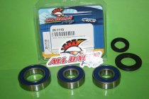 25-1110 All Balls Radlager Satz Radlagersatz