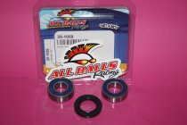 25-1059 All Balls Radlager Satz Radlagersatz