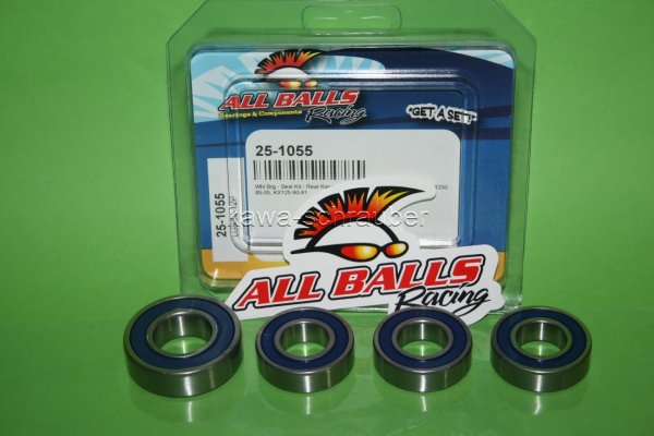25-1055 All Balls Radlager Satz Radlagersatz