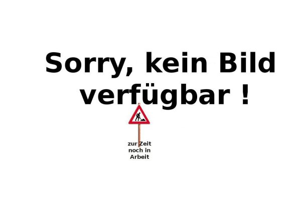 Kettenblatt / Ritzel hinten 63 Zähne BETA 125 RE Bj. ab 2013 (geänderte Übersetzung)