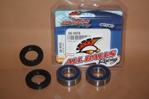 All Balls Radlager Satz Radlagersatz hinten rear Hinterrad Beta Rev 3 250 Bj. 2004-2008