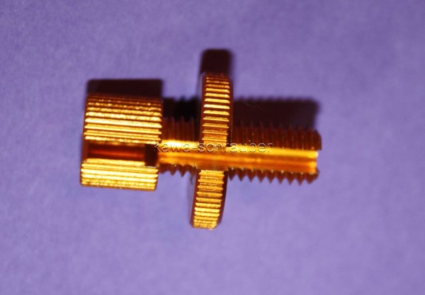 Einstellschraube Versteller für Bowdenzüge gold eloxiert M8x1,25