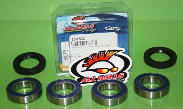 All Balls Radlager Satz Radlagersatz hinten rear Hinterrad Cagiva 650 Raptor