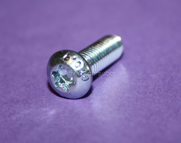 MSW103BO Schraube Bremsscheibe Befestigungsschraube 6 Stück M6x20