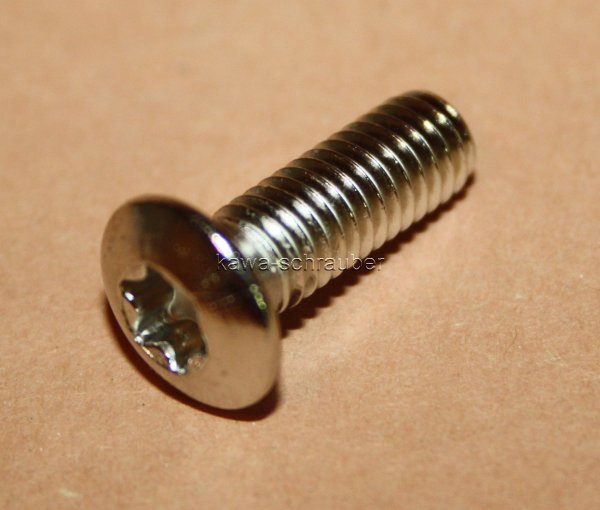 MSW105BO Schraube Bremsscheibe Befestigungsschraube 6 Stück M6x15 Senkkopf