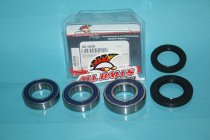 All Balls Radlager Satz Radlagersatz hinten rear Hinterrad Suzuki TL1000 R / S