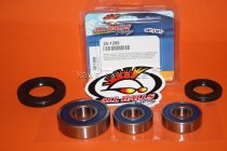 All Balls Radlager Satz Radlagersatz hinten rear Hinterrad Suzuki SV650 S