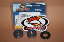 All Balls Radlager Satz Radlagersatz vorne front Vorderrad Yamaha SR250 Exciter