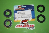 All Balls Radlager Satz Radlagersatz vorne front Vorderrad Yamaha YZF1000-R1 50th