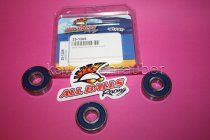 All Balls Radlager Satz Radlagersatz hinten rear Hinterrad Yamaha XV500 Virago