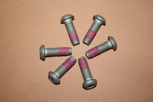 MSS113-6 Schraube Bremsscheibe Befestigungsschraube 6 Stück M8x1,0 25mm