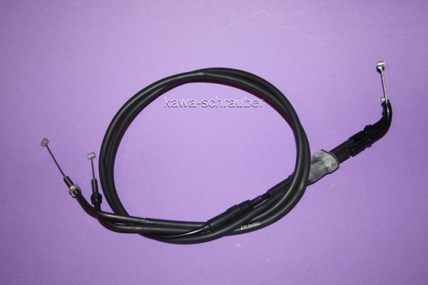 Gaszug Set 79cm/80,0cm Triumph 2-teilig