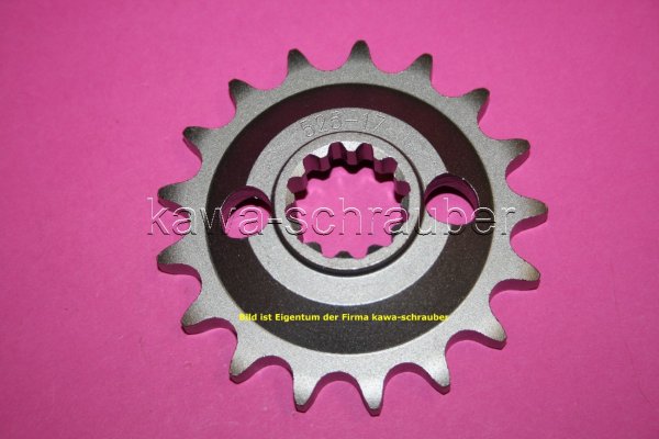 Ritzel vorne 532 17 Zähne Kawasaki ZX-10 Tomcat Typ ZXT00B (Standard Übersetzung)