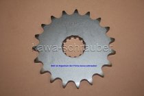 Ritzel vorne 19 Zähne Triumph 955i Daytona (Standard Übersetzung)