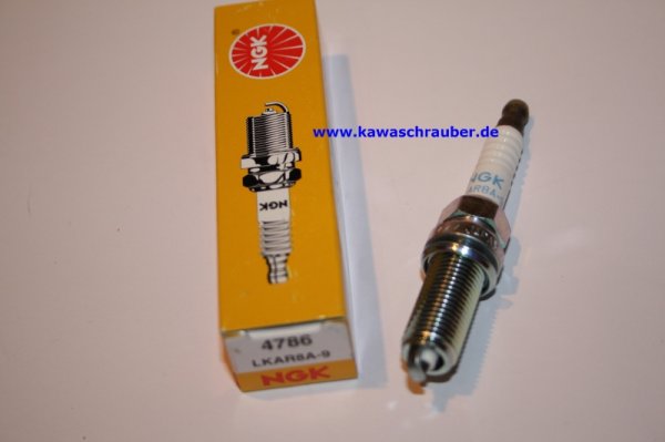 NGK Zündkerze KTM 690 Duke 3 LC4 Baujahre 2008-2009