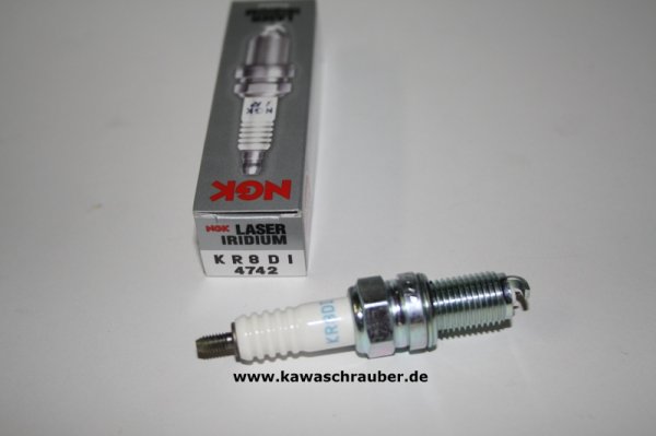 NGK Zündkerze KTM 990 SM-T LC8 Baujahre 2009-2010