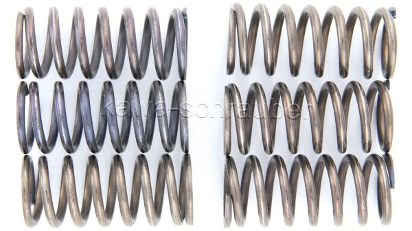 Kupplungsfedern Federn Kupplung verstärkt Aprilia 650 Moto 6.5 Bj. 1995-2000