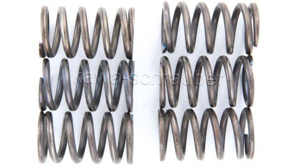 Federn Kupplung Kupplungsfedern verstärkt Honda CRF100 Typ HE03 Bj. 2003-2004