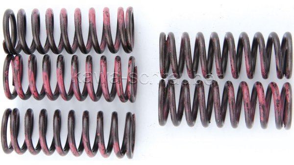Kupplungsfedern Federn Kupplung Honda CBR1000RR Fireblade Typ SC57