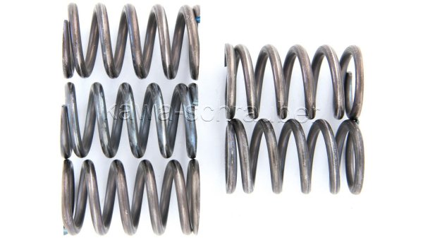 Kupplungsfedern Federn Kupplung verstärkt Kawasaki GPZ500S Typen EX500A EX500E