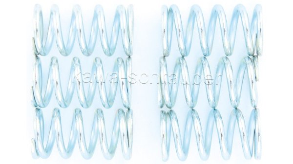 Kupplungsfedern Federn Kupplung verstärkt Kawasaki GPZ1100 Typ KZT10B Bj. 1981-1985